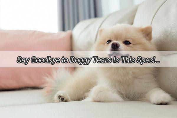 Say Goodbye to Doggy Tears Is This Special Tear Stain Remover the Secret to Clear Eyes